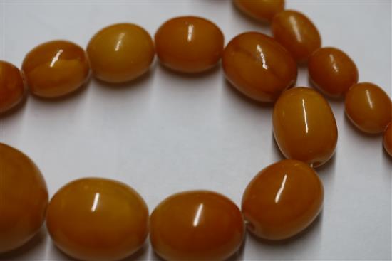 A single strand graduated oval amber bead necklace, gross weight 104 grams, 86cm.